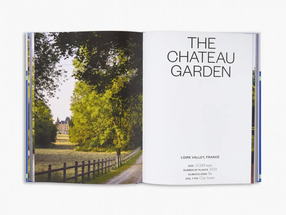 Big Garden Design фото книги маленькое 6