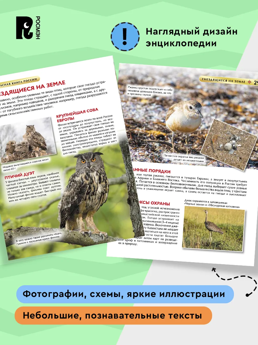 Красная книга России. Детская энциклопедия фото книги маленькое 5