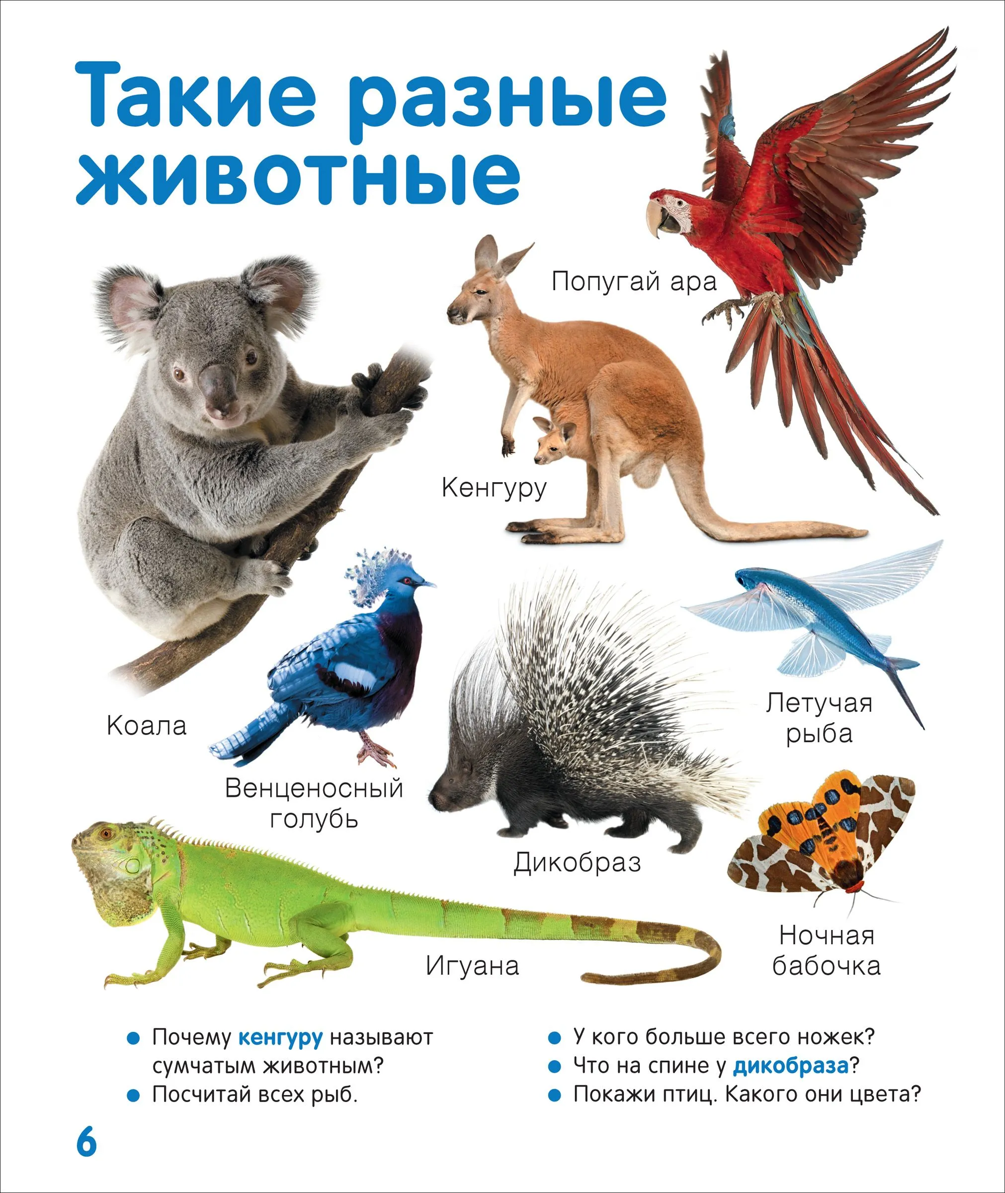 Первая книга малыша. Энциклопедия. 1000 картинок фото книги маленькое 10