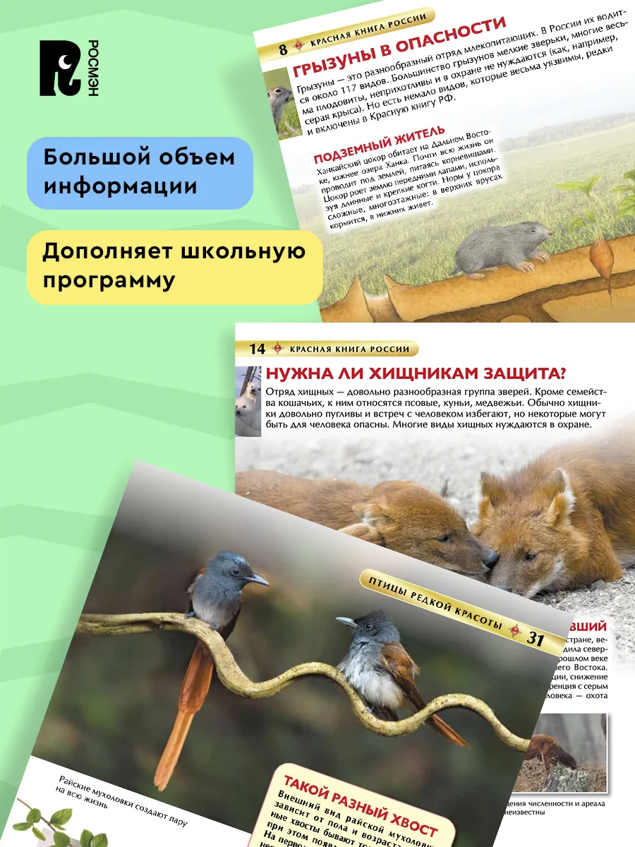 Красная книга России. Детская энциклопедия фото книги маленькое 6