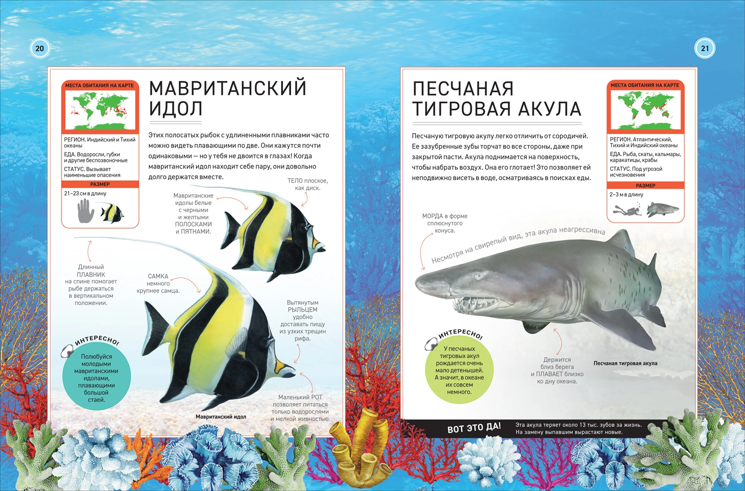 Подводный мир. Полная энциклопедия фото книги маленькое 3