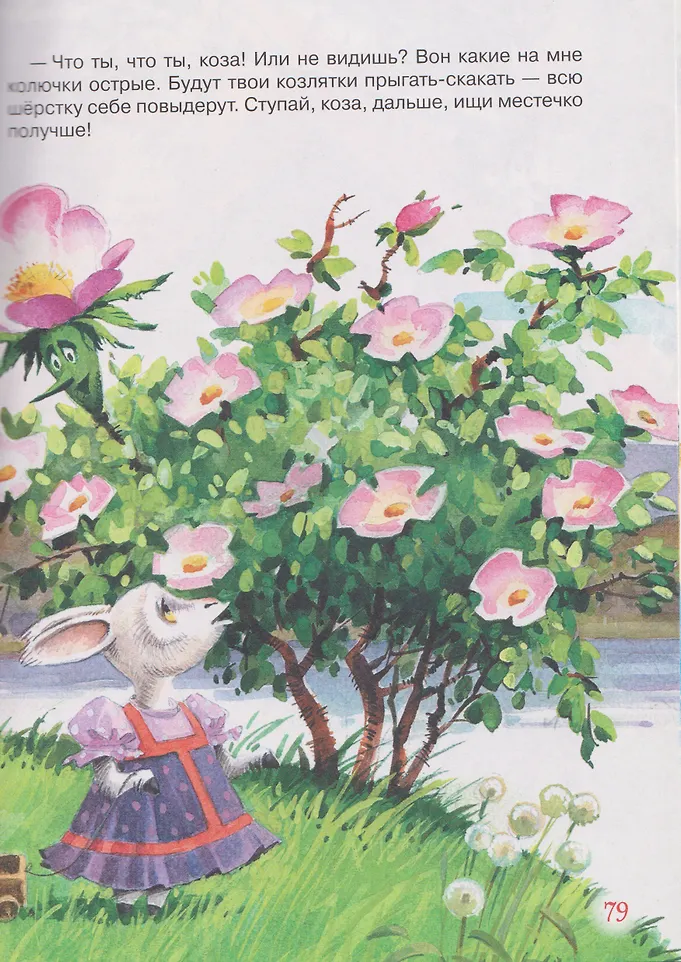 Русские народные сказки фото книги маленькое 5