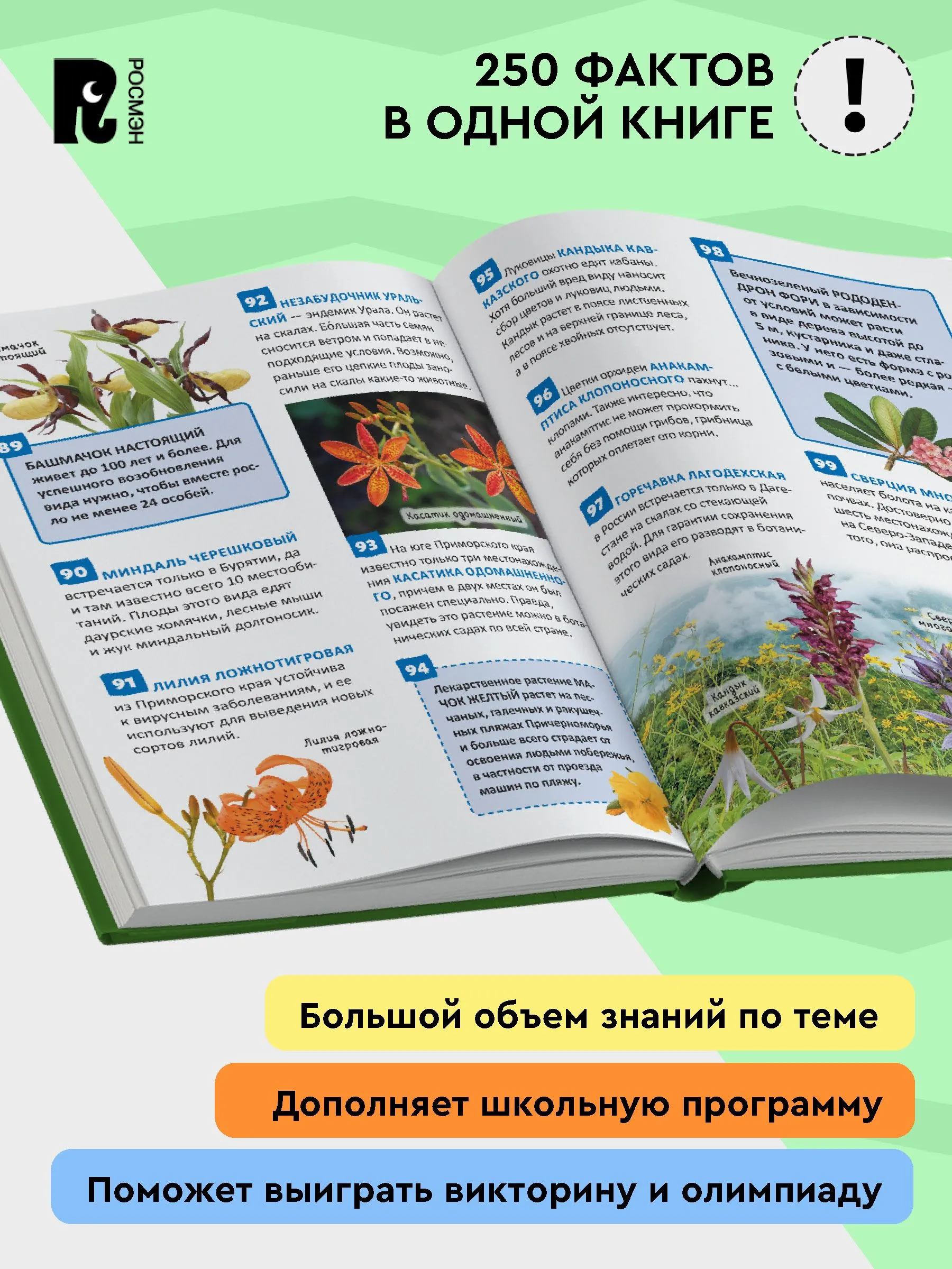 Красная книга России. Энциклопедия российского школьника фото книги маленькое 3