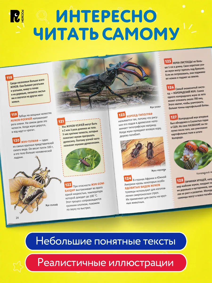 Энциклопедия для школьников. 500 важных фактов фото книги маленькое 3