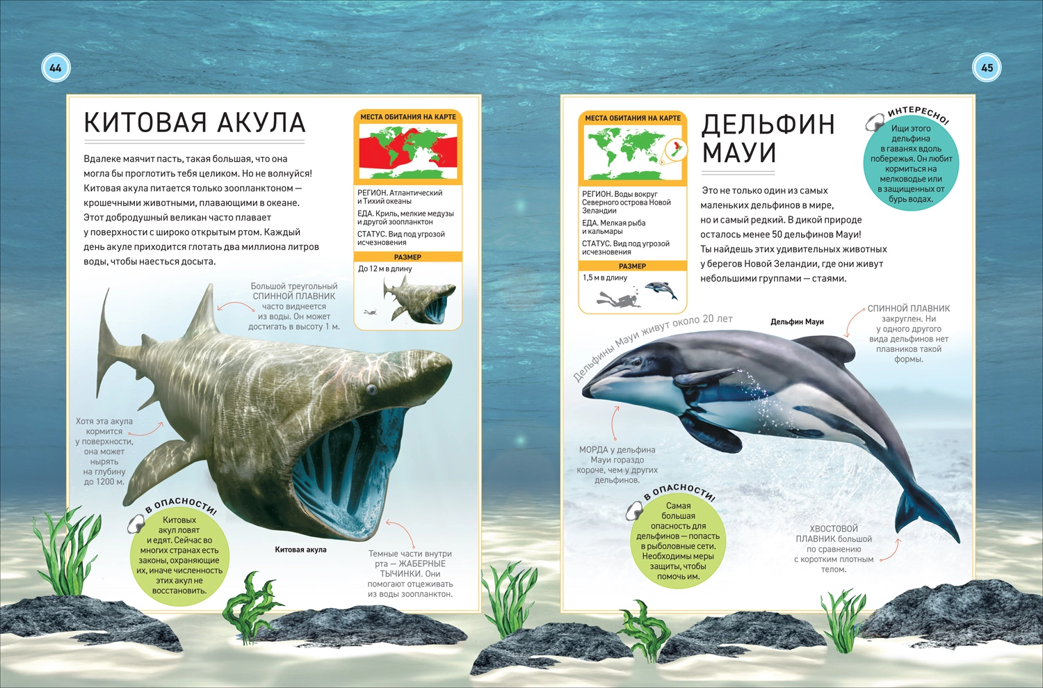 Подводный мир. Полная энциклопедия фото книги маленькое 4