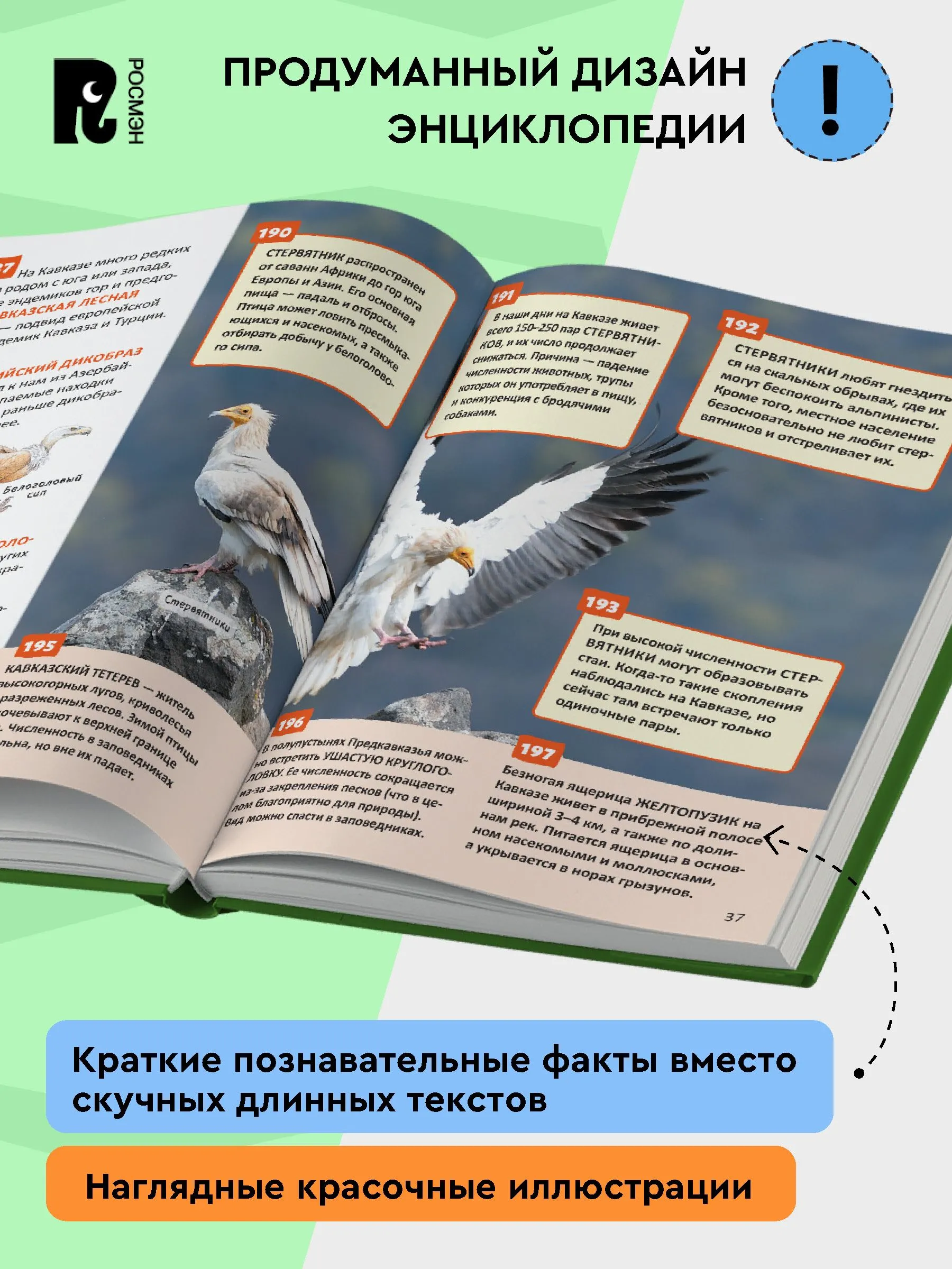Красная книга России. Энциклопедия российского школьника фото книги маленькое 4