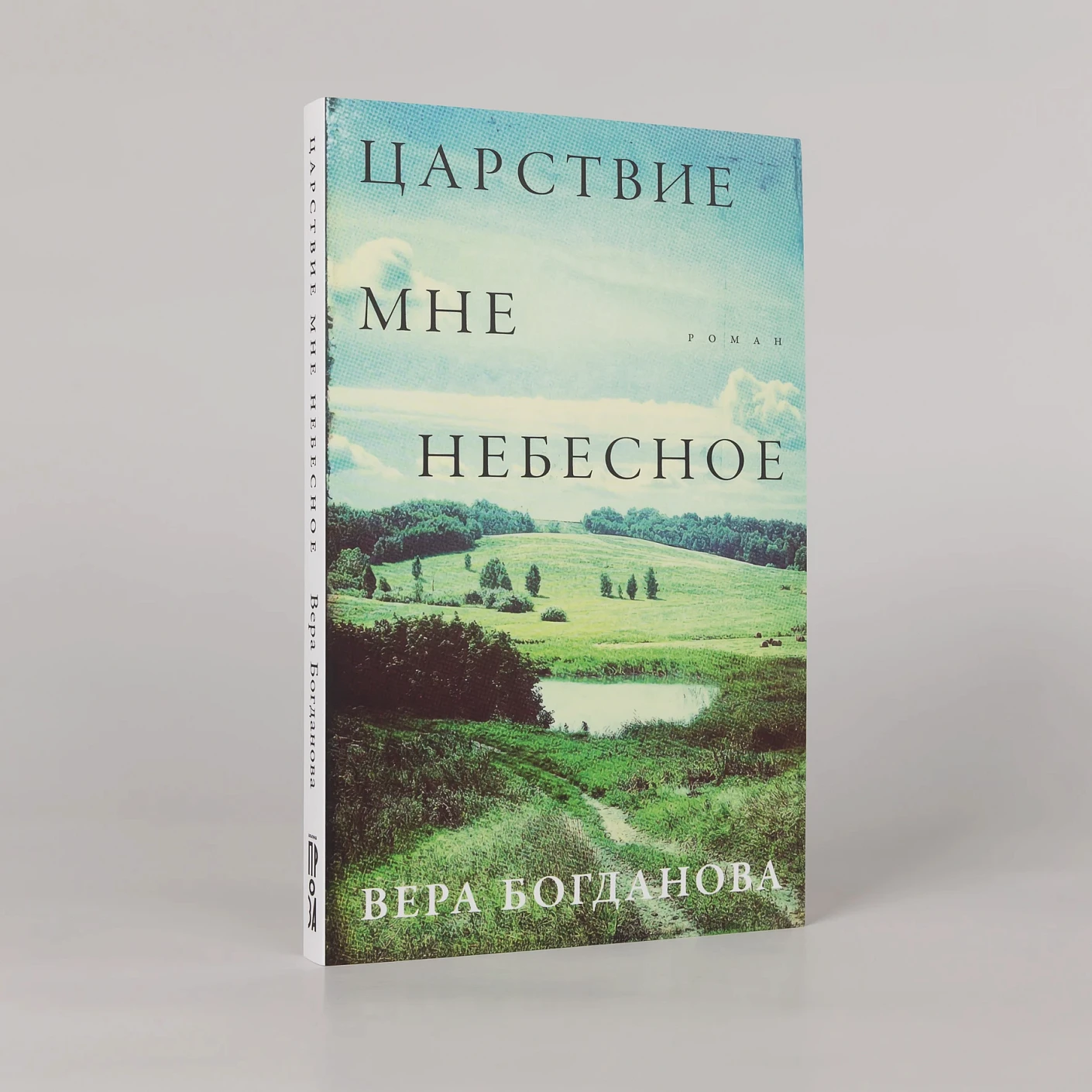 Царствие мне небесное фото книги маленькое 3