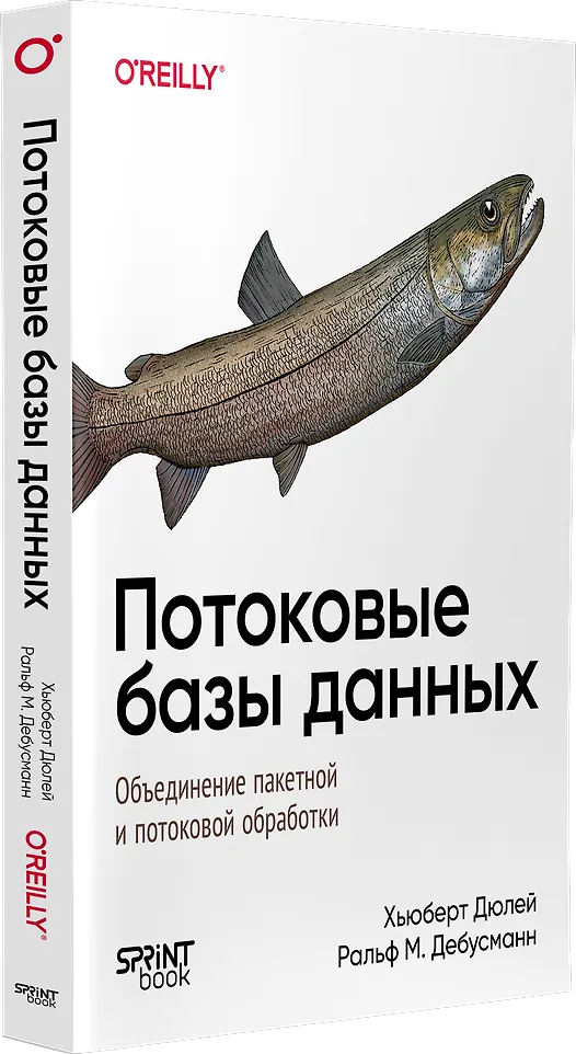 Потоковые базы данных. Объединение пакетной и потоковой обработки фото книги маленькое 4