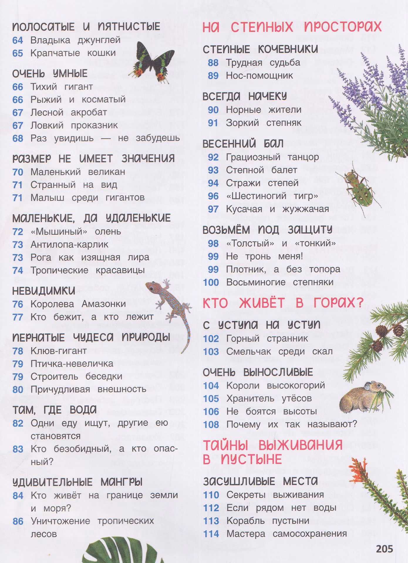 Животные. Энциклопедия. Подарок школьнику фото книги маленькое 8