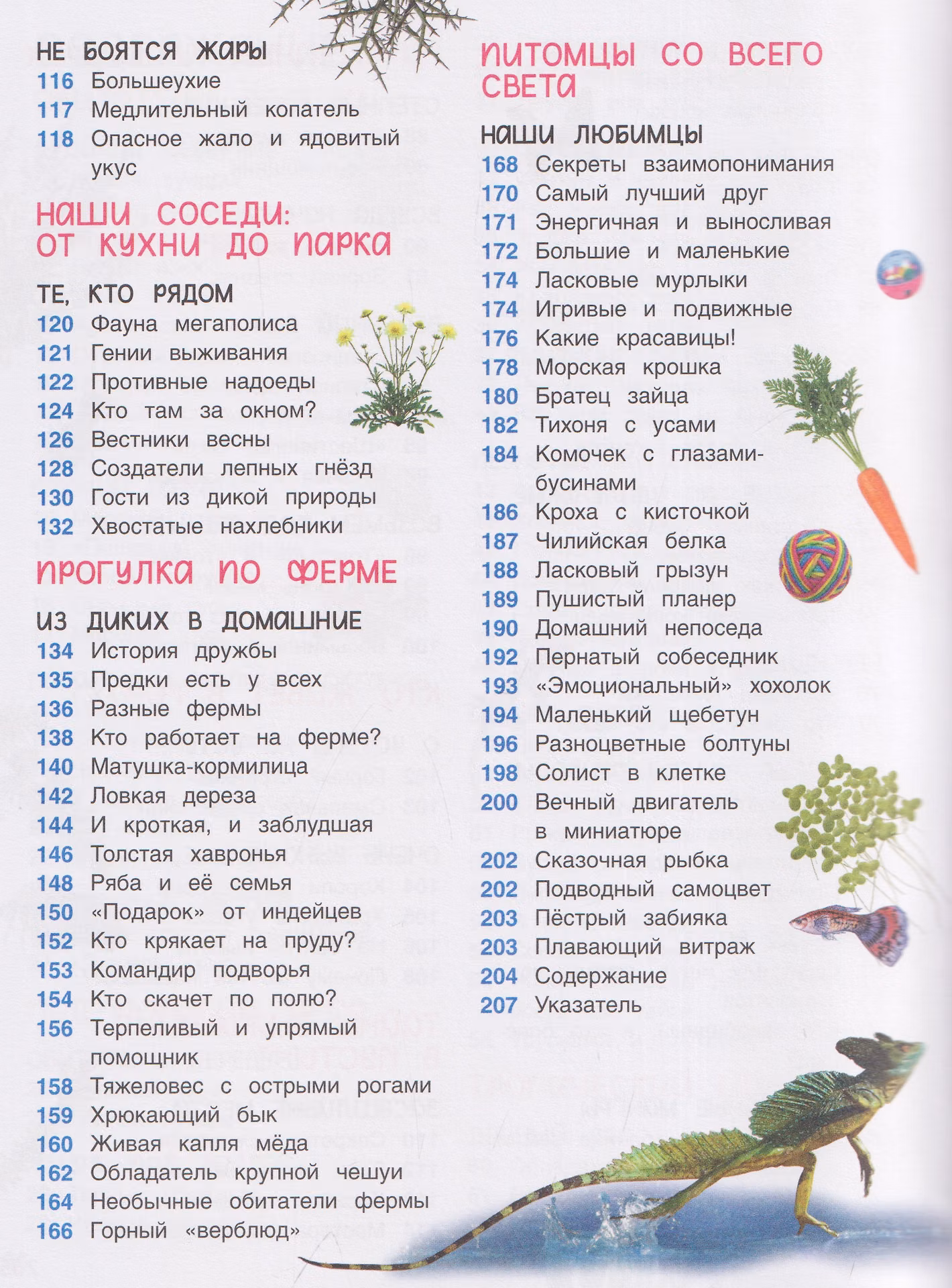 Животные. Энциклопедия. Подарок школьнику фото книги маленькое 9
