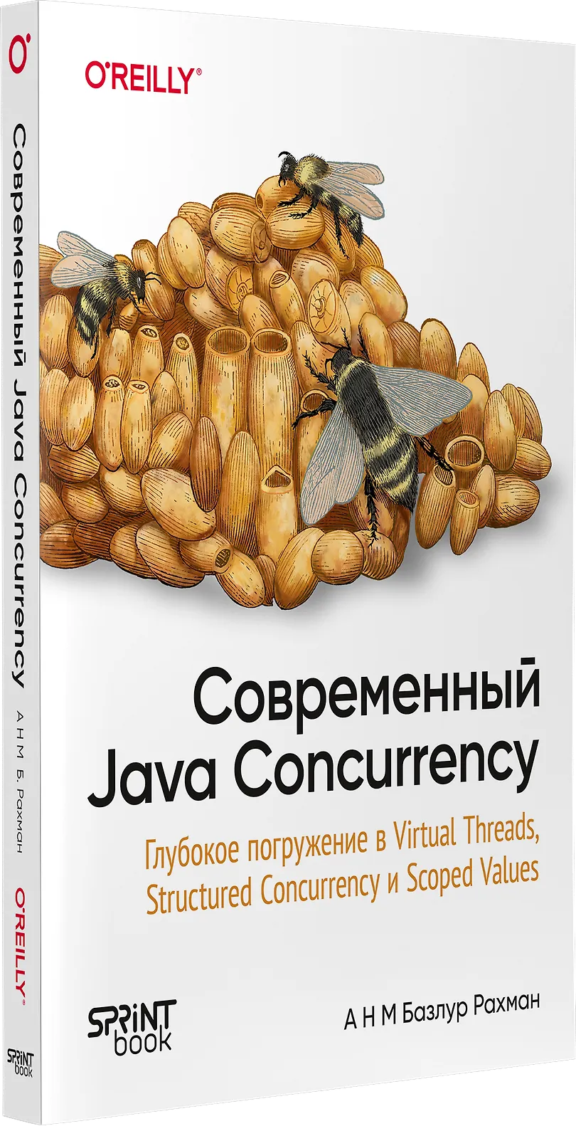Современный Java Concurrency. Глубокое погружение в Virtual Threads, Structured Concurrency и Scoped Values фото книги маленькое 3