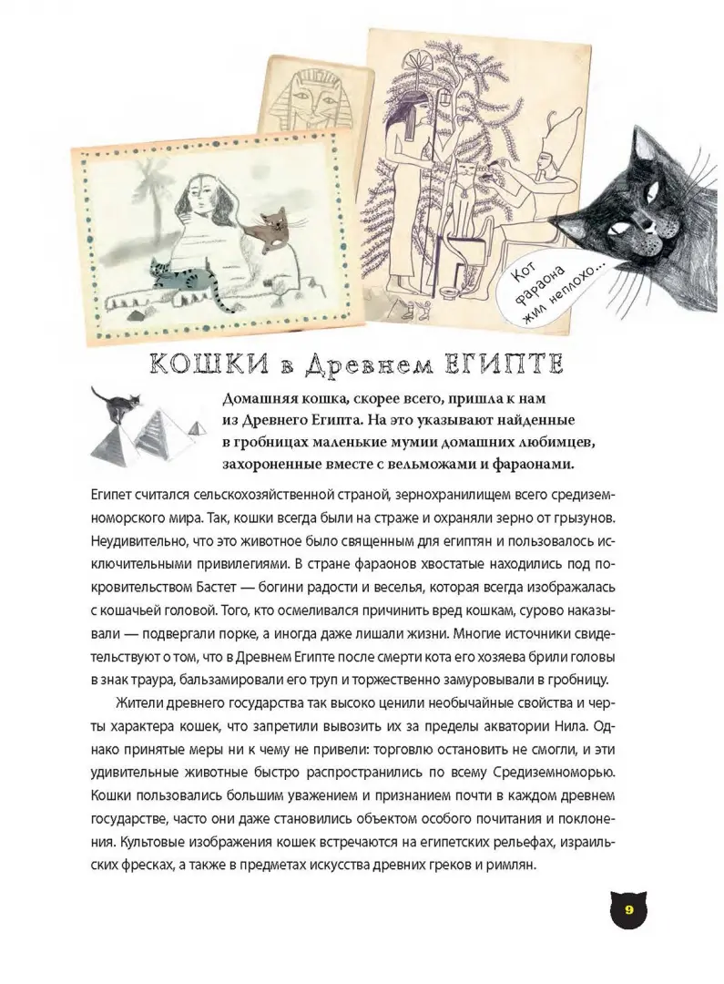 А вот и кот фото книги маленькое 8
