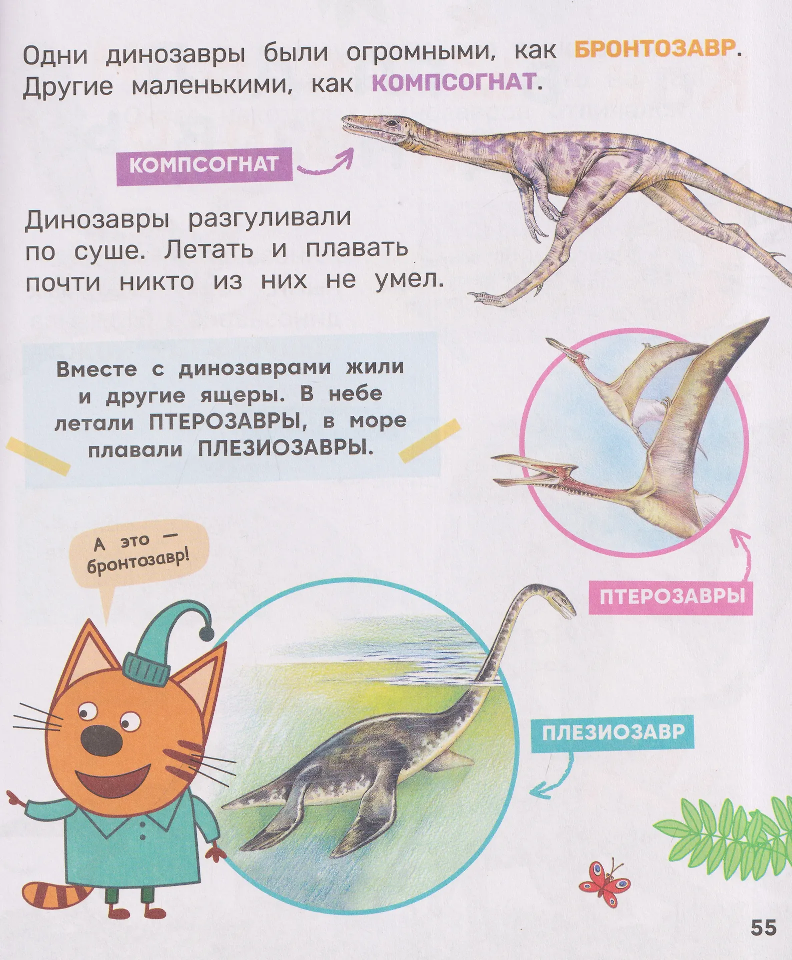 Три кота. Любимая энциклопедия фото книги маленькое 8