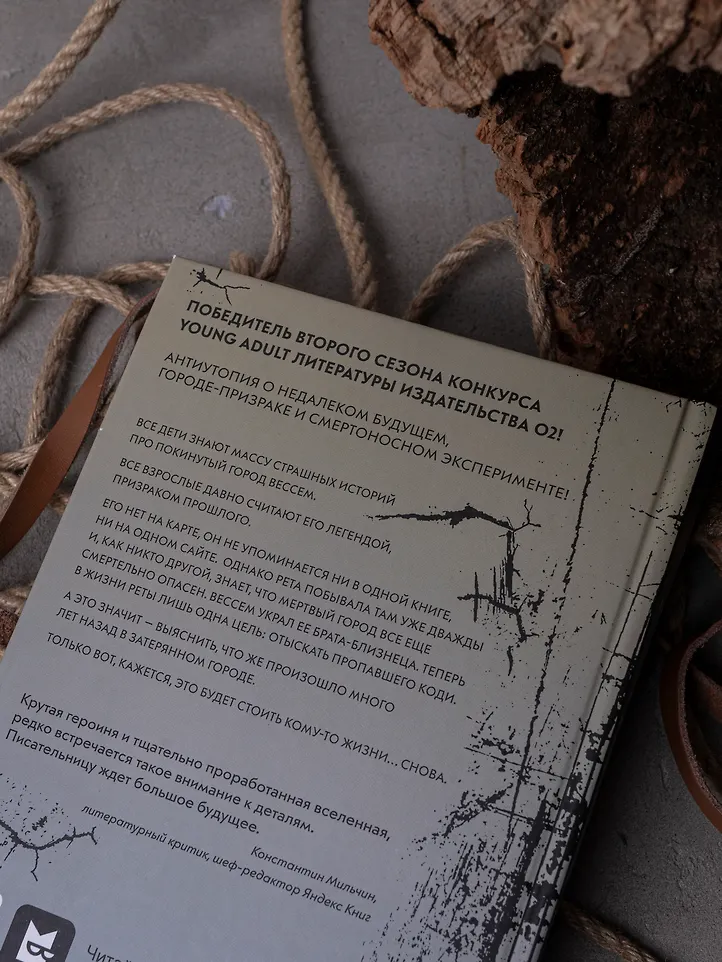 Голос Вессема фото книги маленькое 8