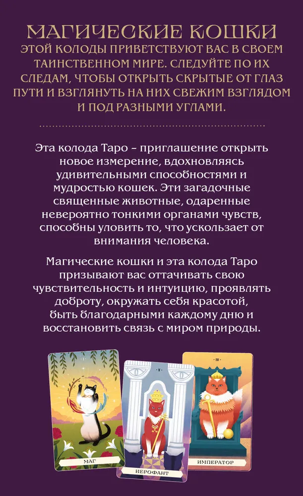 Таро магических кошек (78 карт и руководство к колоде) фото книги маленькое 4