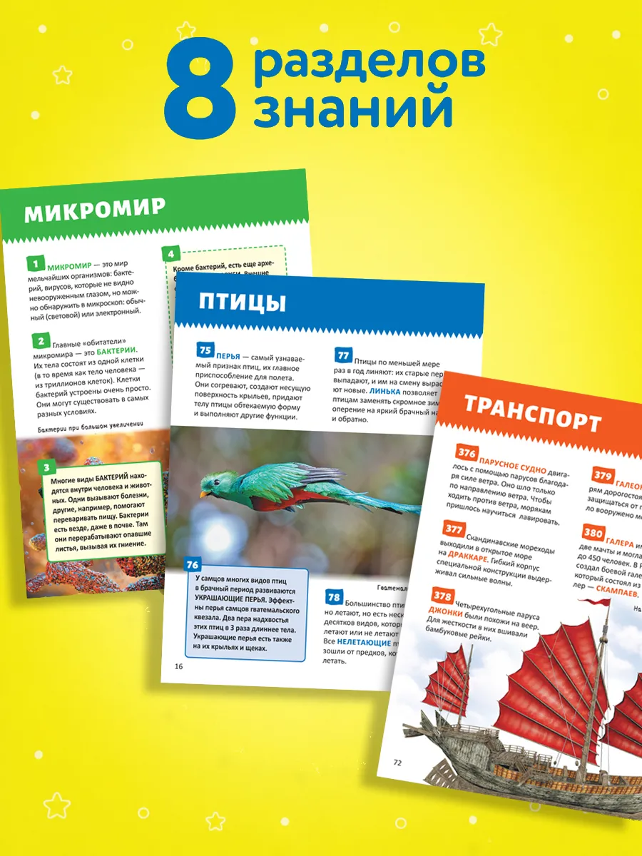 Энциклопедия для школьников. 500 важных фактов фото книги маленькое 4