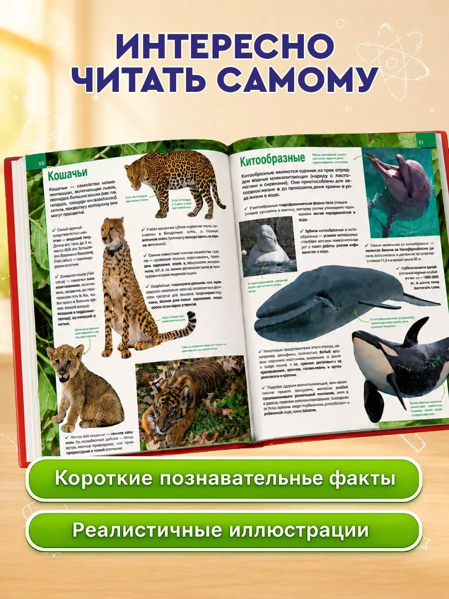 3000 фактов. Энциклопедия на все времена фото книги маленькое 3