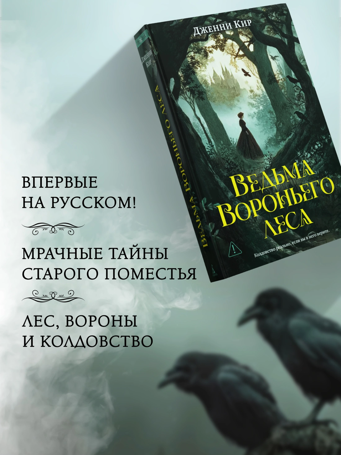 Ведьма Вороньего леса фото книги маленькое 4