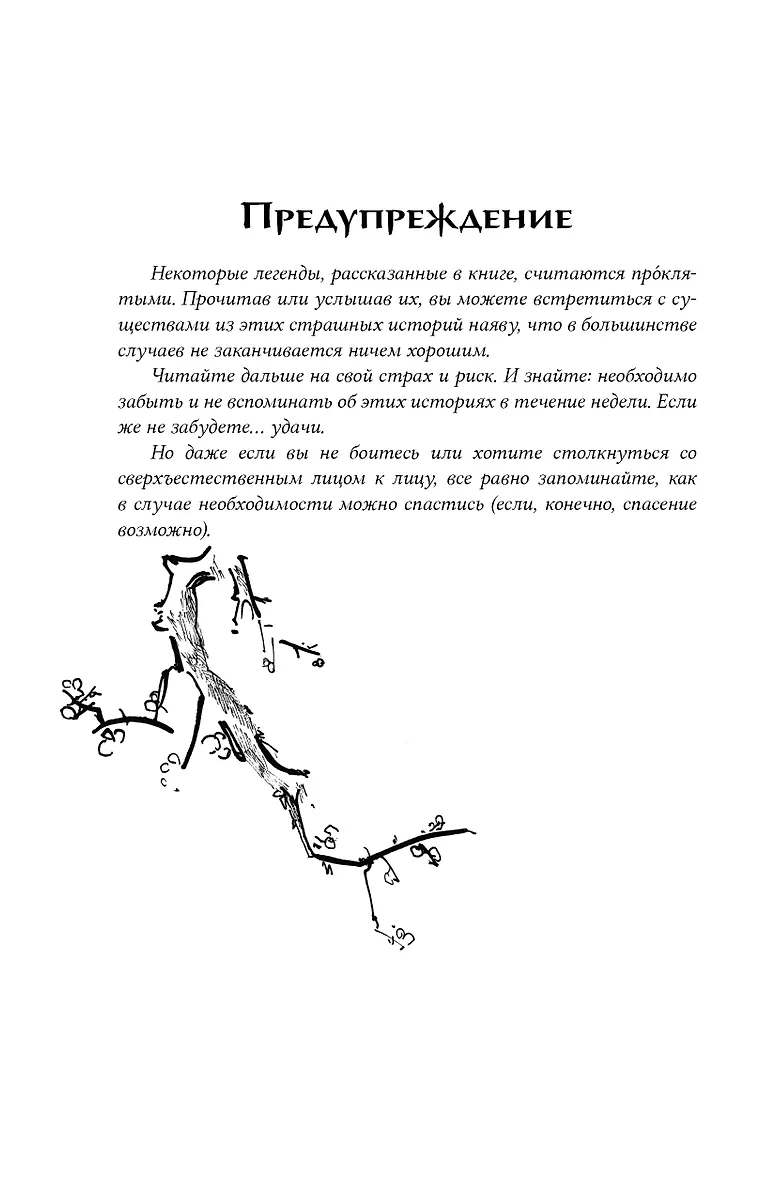 КАНАШИБАРИ. Пока не погаснет последний фонарь. Том 4 фото книги маленькое 6