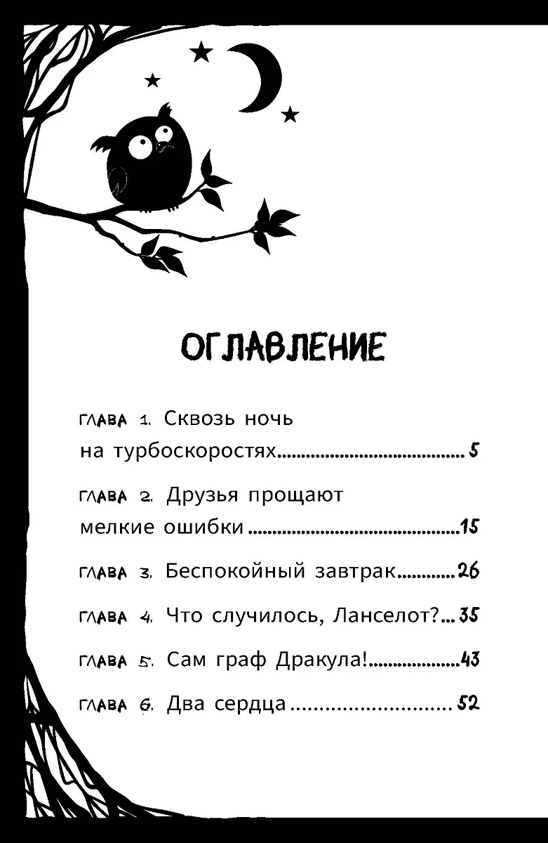 Мирелла Мануш. Осторожно, летит госпожа Сова! фото книги маленькое 5