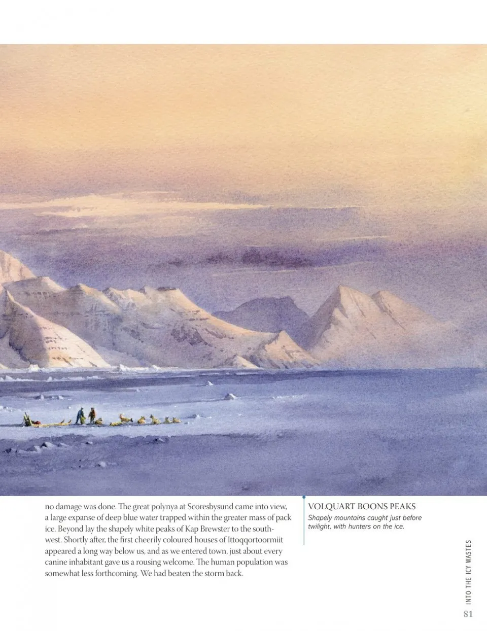 David Bellamy`s Arctic Light фото книги маленькое 14