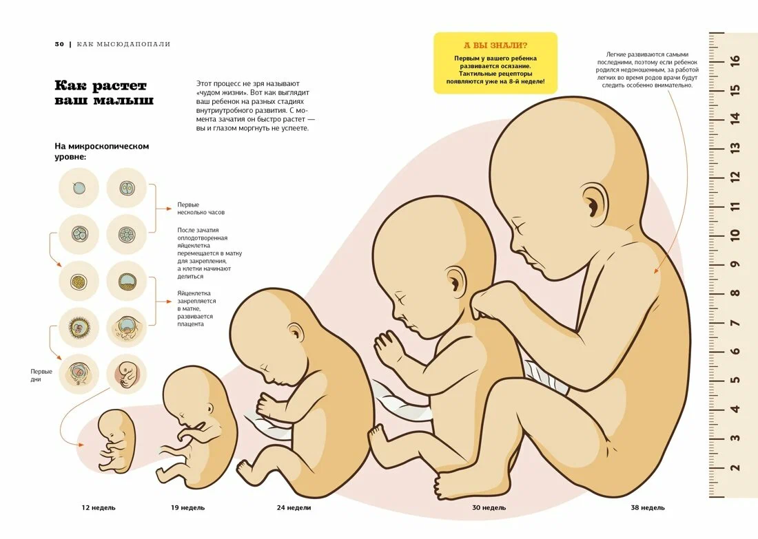 Звездные секреты родительства: Подарочный дуэт для мам и пап. Сборный комплект в коробе из 2-х книг фото книги маленькое 9