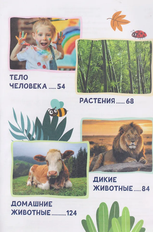 Большая энциклопедия малыша. 300 вопросов и ответов фото книги маленькое 6