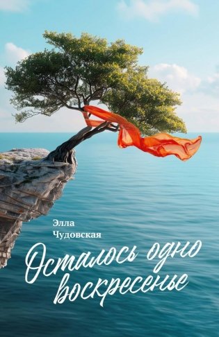 Осталось одно воскресенье фото книги
