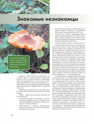 Большая энциклопедия грибника фото книги 11