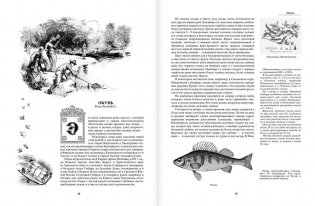 Жизнь и ловля пресноводных рыб фото книги 10