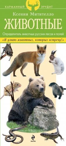 Животные. Определитель животных русских лесов и полей фото книги