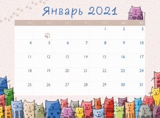Разноцветные коты. Отрывной планер на магните на 2021 год фото книги