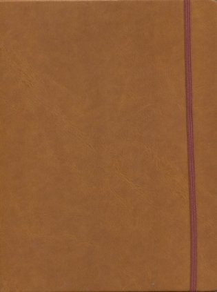 Ежедневник недатированный "Agenda New Nature", рыжий фото книги
