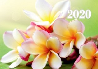 Календарь настенный "Райский цветок" на 2020 год фото книги