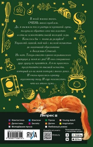 Хозяйка магической лавки. Книга 3 фото книги 2