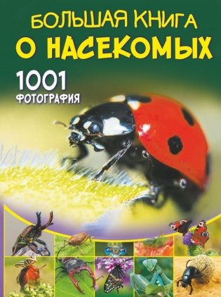 Большая книга о насекомых. 1001 фотография фото книги