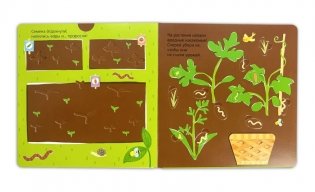 Собираем урожай (Развивающая 3D-книга) фото книги 4