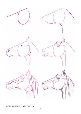 Рисуем 50 лошадей фото книги 5