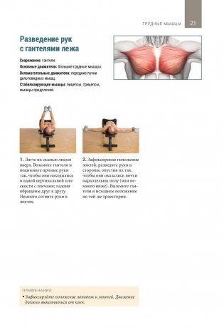 Анатомия тренировок со свободными отягощениями фото книги 10