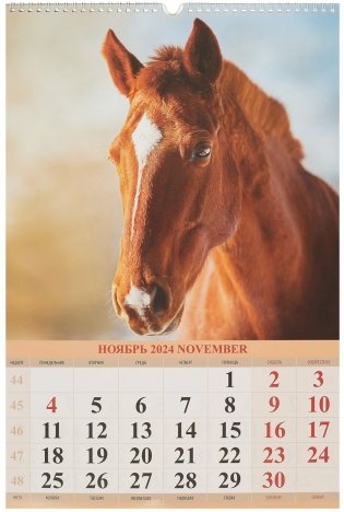 Календарь на 2024 год "Лошади" (320х480 мм) настенный, на спирали фото книги 3