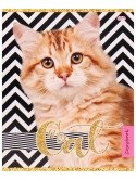 Тетрадь "Кошачье удивление", А5, 48 листов, клетка фото книги 4