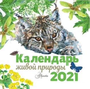 Календарь живой природы 2021 фото книги