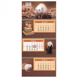 Календарь квартальный на 2020 год "Экстра. Знак года", 30х65,5 см фото книги
