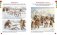 Тайны первобытного мира фото книги маленькое 7