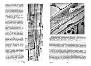 Биогенез растительных волокон фото книги 2