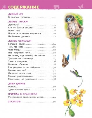 Джунгли. Энциклопедия для детского сада фото книги 2