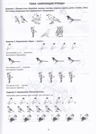Тетрадь по развитию речи для детей дошкольного возраста. От 4 до 6 лет. В 2 частях. Часть 1. Практическое пособие для учителей-дефектологов фото книги 4