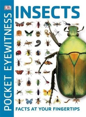 Insects. Facts at Your Fingertips фото книги