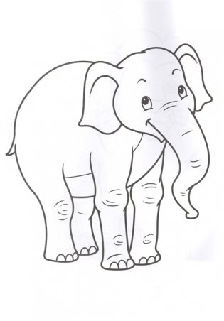 Раскраска. Зоопарк фото книги 3