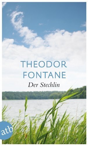 Der Stechlin фото книги